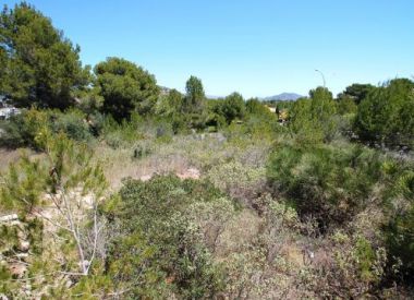 Site in Santa Ponsa (Mallorca), buy cheap - 495 000 [63275] 1