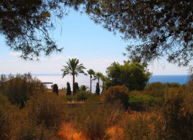 Site in Mallorca (Mallorca), buy cheap - 900 000 [63437] 2