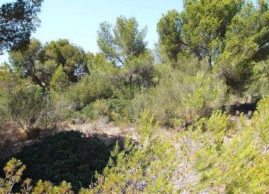 Site in Mallorca (Mallorca), buy cheap - 440 000 [63429] 2
