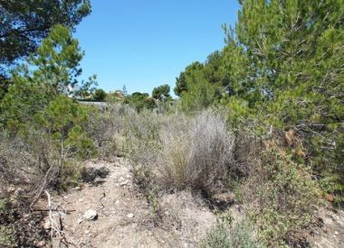 Site in Santa Ponsa (Mallorca), buy cheap - 495 000 [65996] 2