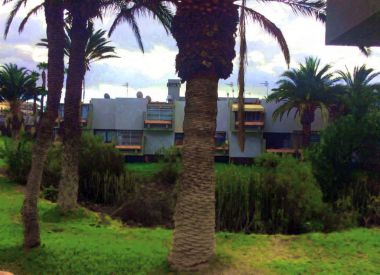 Apartments in the Costa del Silencio (Tenerife), buy cheap - 85 000 [66071] 8