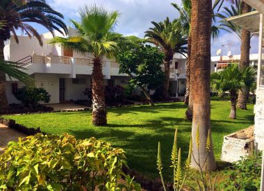 Apartments in the Costa del Silencio (Tenerife), buy cheap - 93 000 [66166] 2