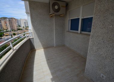 Apartments in Benidorm (Costa Blanca), buy cheap - 100 000 [66356] 2