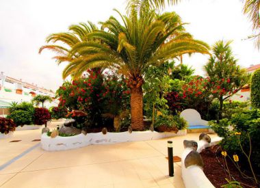 Apartments in the Costa del Silencio (Tenerife), buy cheap - 220 000 [66382] 3