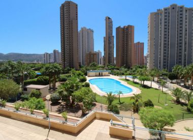 Apartments in Benidorm (Costa Blanca), buy cheap - 178 000 [66480] 4