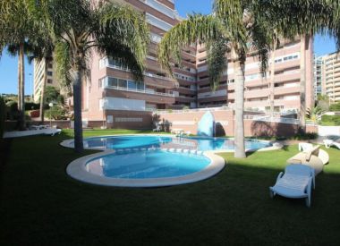 Apartments in Benidorm (Costa Blanca), buy cheap - 84 000 [66652] 3
