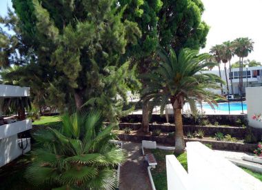 Apartments in the Costa del Silencio (Tenerife), buy cheap - 95 000 [66650] 1