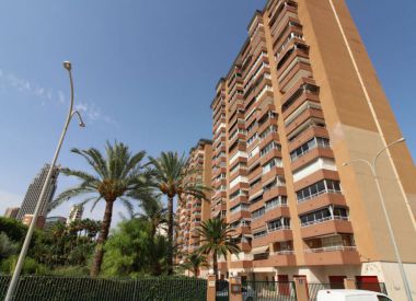 Apartments in Benidorm (Costa Blanca), buy cheap - 245 000 [66742] 7