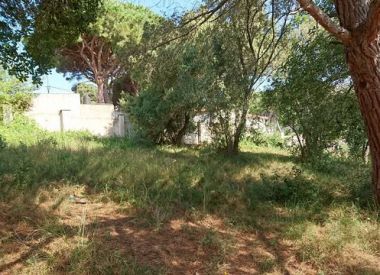 Site in Girona (Costa Brava), buy cheap - 3 200 000 [66774] 10