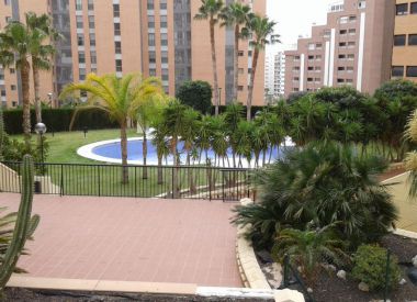 Apartments in Benidorm (Costa Blanca), buy cheap - 120 000 [66842] 2