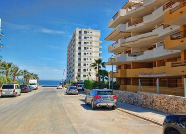 Apartments in Punta Prima (Costa Blanca), buy cheap - 160 000 [66868] 1
