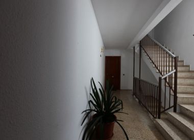 Apartments in Valencia (Costa Blanca), buy cheap - 98 000 [67037] 3