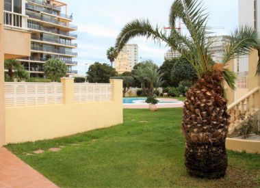 Apartments in Calpe (Costa Blanca), buy cheap - 115 500 [67305] 10