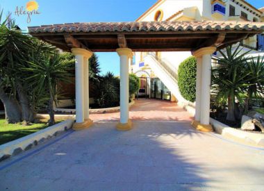 Apartments in La Mate (Costa Blanca), buy cheap - 69 300 [68763] 3