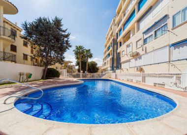 Apartments in La Mate (Costa Blanca), buy cheap - 59 900 [67533] 1