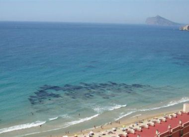 Apartments in Calpe (Costa Blanca), buy cheap - 339 000 [69069] 2