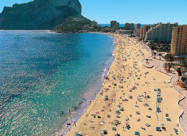 Apartments in Calpe (Costa Blanca), buy cheap - 485 000 [69014] 8