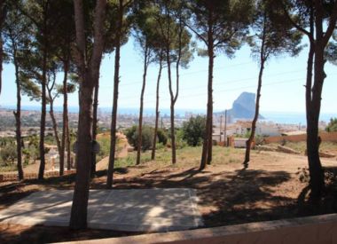 Villa in Calpe (Costa Blanca), buy cheap - 750 000 [68967] 5