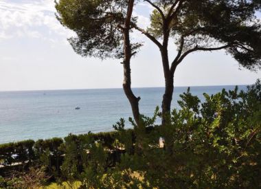 Villa in Benissa (Costa Blanca), buy cheap - 1 800 000 [69471] 3
