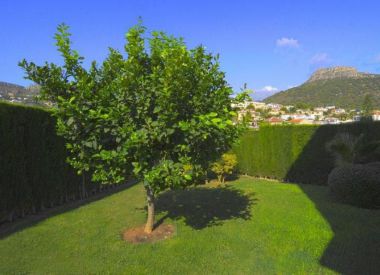 Townhouse in Calpe (Costa Blanca), buy cheap - 370 000 [69228] 3