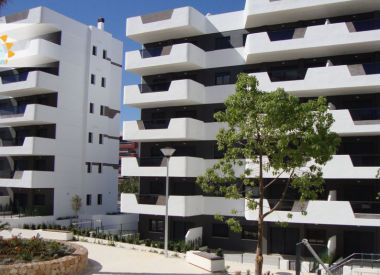 Apartments in Alicante (Costa Blanca), buy cheap - 190 000 [69663] 6