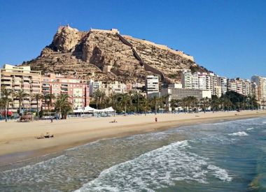 Commercial property in Alicante (Costa Blanca), buy cheap - 32 000 [69947] 8