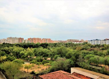 Apartments in Alicante (Costa Blanca), buy cheap - 38 500 [69915] 1