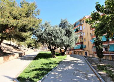 Apartments in Alicante (Costa Blanca), buy cheap - 33 900 [69911] 2