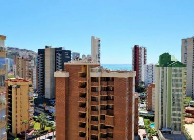 Apartments in Benidorm (Costa Blanca), buy cheap - 139 000 [70357] 10