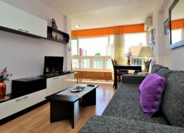 Apartments in Benidorm (Costa Blanca), buy cheap - 139 000 [70357] 6