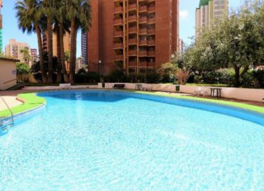 Apartments in Benidorm (Costa Blanca), buy cheap - 139 000 [70357] 8