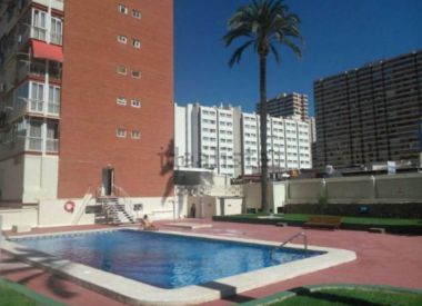 Apartments in Benidorm (Costa Blanca), buy cheap - 136 500 [70320] 1