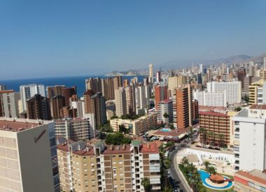 Apartments in Benidorm (Costa Blanca), buy cheap - 180 000 [70309] 2