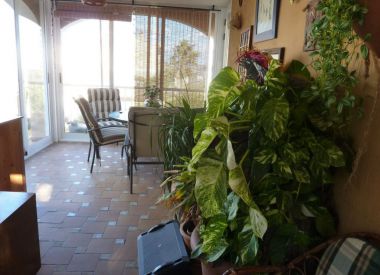 Villa in Alicante (Costa Blanca), buy cheap - 245 000 [70086] 5