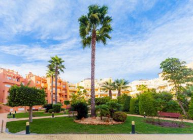 Townhouse in Cabo Roig (Costa Blanca), buy cheap - 150 000 [70056] 3