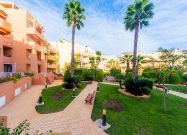 Townhouse in Cabo Roig (Costa Blanca), buy cheap - 150 000 [70056] 4