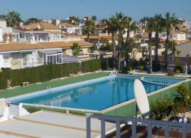 Apartments in Punta Prima (Costa Blanca), buy cheap - 85 000 [67771] 1