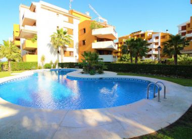 Apartments in Punta Prima (Costa Blanca), buy cheap - 159 900 [68173] 1
