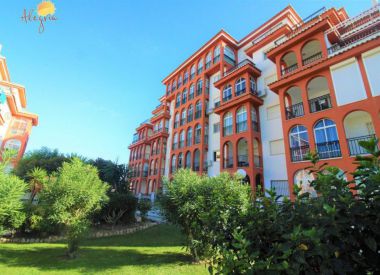 Apartments in La Mate (Costa Blanca), buy cheap - 79 900 [68481] 2