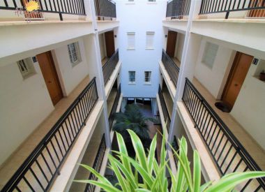 Apartments in La Mate (Costa Blanca), buy cheap - 79 900 [68481] 8