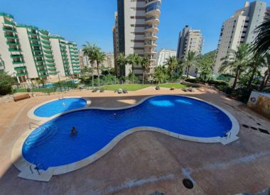 Apartments in Benidorm (Costa Blanca), buy cheap - 145 000 [68484] 1