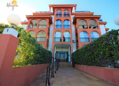Apartments in La Mate (Costa Blanca), buy cheap - 44 900 [68506] 4