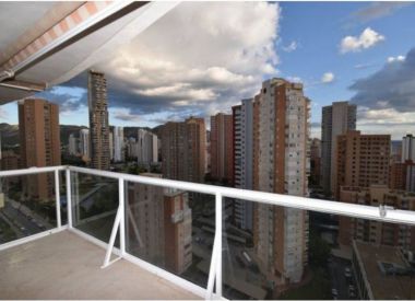 Apartments in Benidorm (Costa Blanca), buy cheap - 217 500 [68724] 10