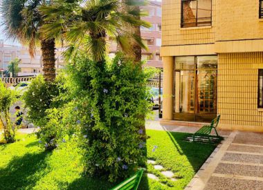 Apartments in Alicante (Costa Blanca), buy cheap - 160 000 [71075] 9