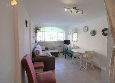 Townhouse in Torrevieja (Costa Blanca), buy cheap - 66 500 [71767] 4