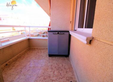 Apartments in Torrevieja (Costa Blanca), buy cheap - 68 900 [71765] 6