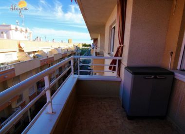 Apartments in Torrevieja (Costa Blanca), buy cheap - 68 900 [71765] 8