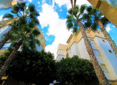Townhouse in Torrevieja (Costa Blanca), buy cheap - 122 900 [71754] 10