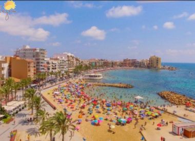 Apartments in Torrevieja (Costa Blanca), buy cheap - 54 900 [71746] 3