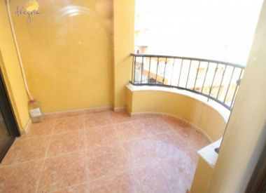 Apartments in Torrevieja (Costa Blanca), buy cheap - 97 900 [71696] 1